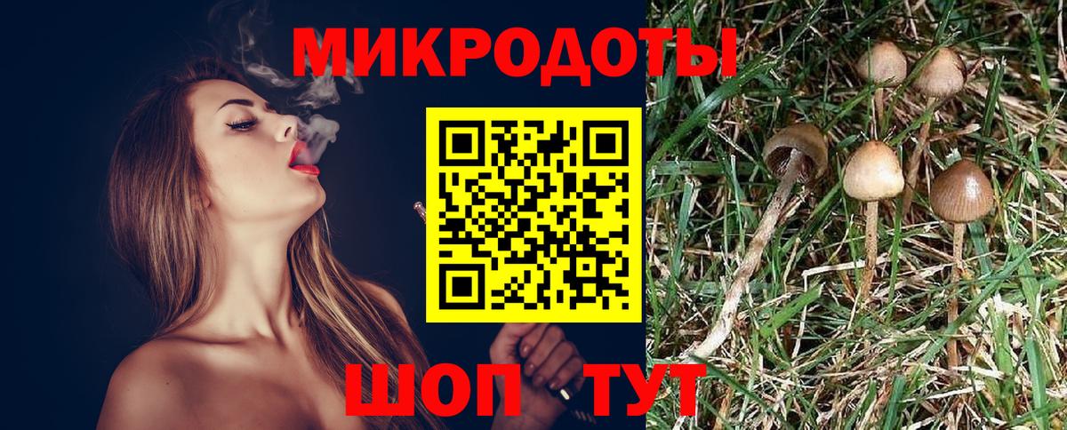 Псилоцибиновые грибы прущие грибы  Вход с VPN  Галлюциногенные грибы мицелий  Барнаул 