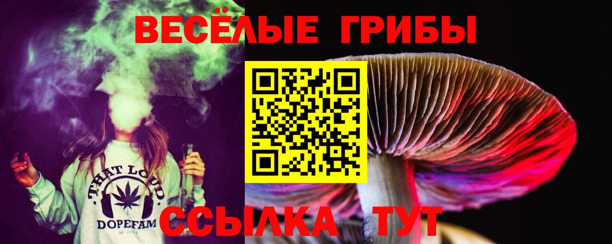Галлюциногенные грибы Magic Shrooms Барнаул